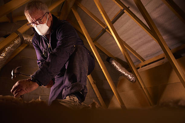 Best Insulation Maintenance and Repair in Newcastle, WA